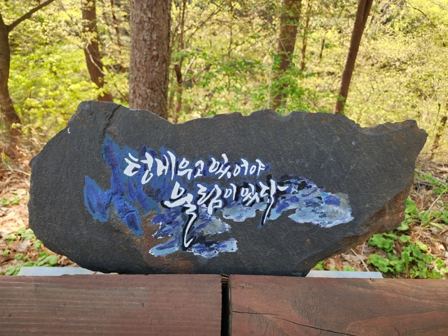 900%EF%BC%BF20250426%EF%BC%BF084430.jpg?type=w1