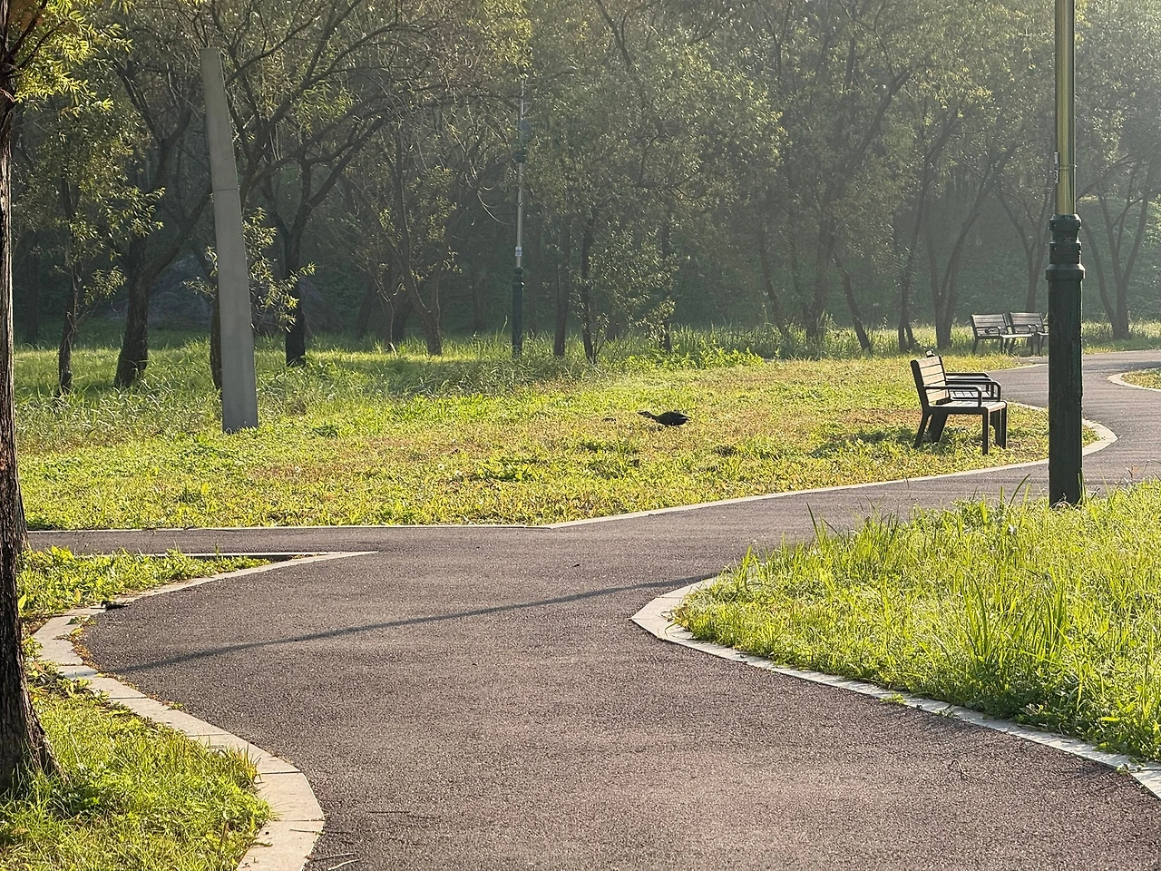 70대 아빠 관찰기록 17.JPEG