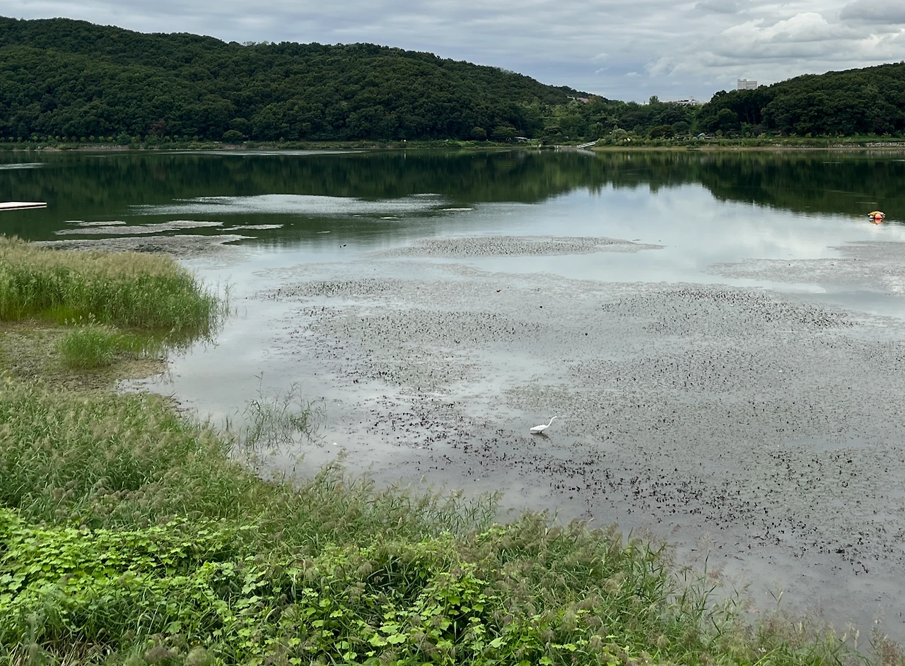 IMG_2619.JPG?type=w3840