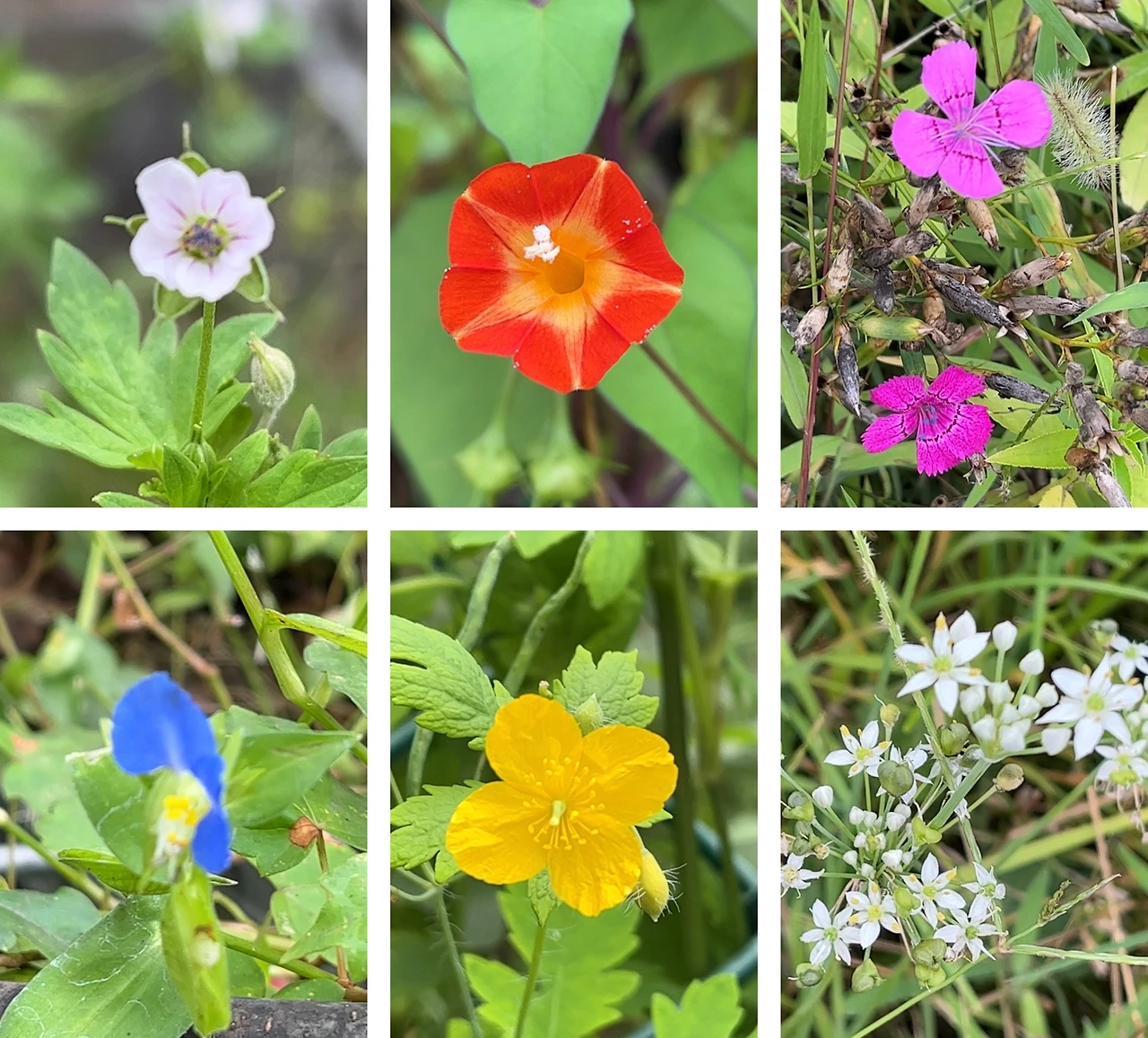 HUTV4192.JPEG?type=w3840