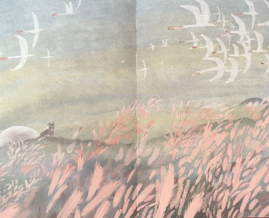 IMG%EF%BC%BF2191.JPG?type=w966