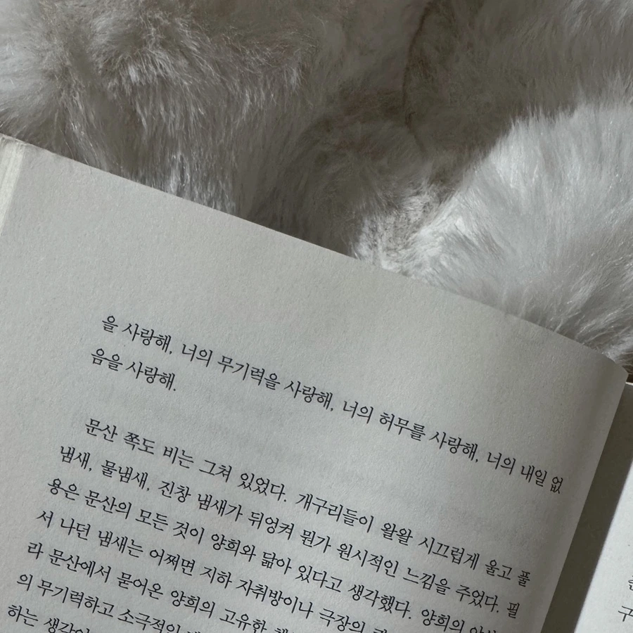 IMG_6948.JPG?type=w1