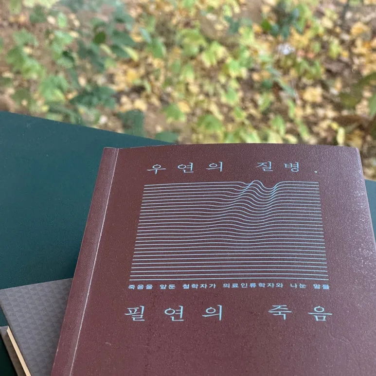 SE-e49dd7a9-534d-4d3b-a568-911c2ca096b9.jpg?type=w773