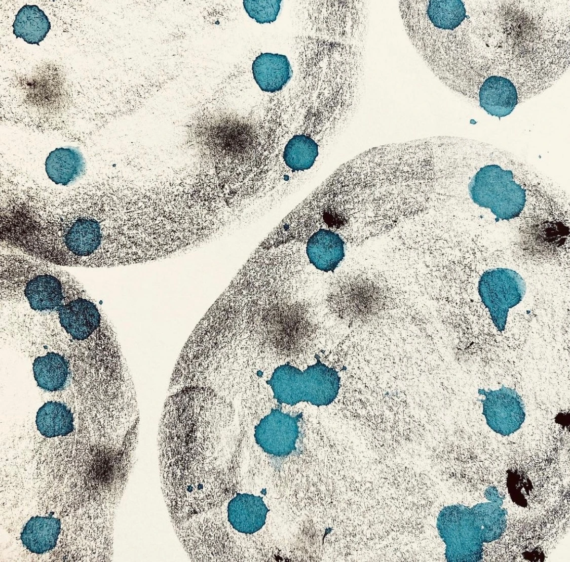 9C5DBD1A-DCD1-48BE-8284-078C74E2119E (1).jpeg