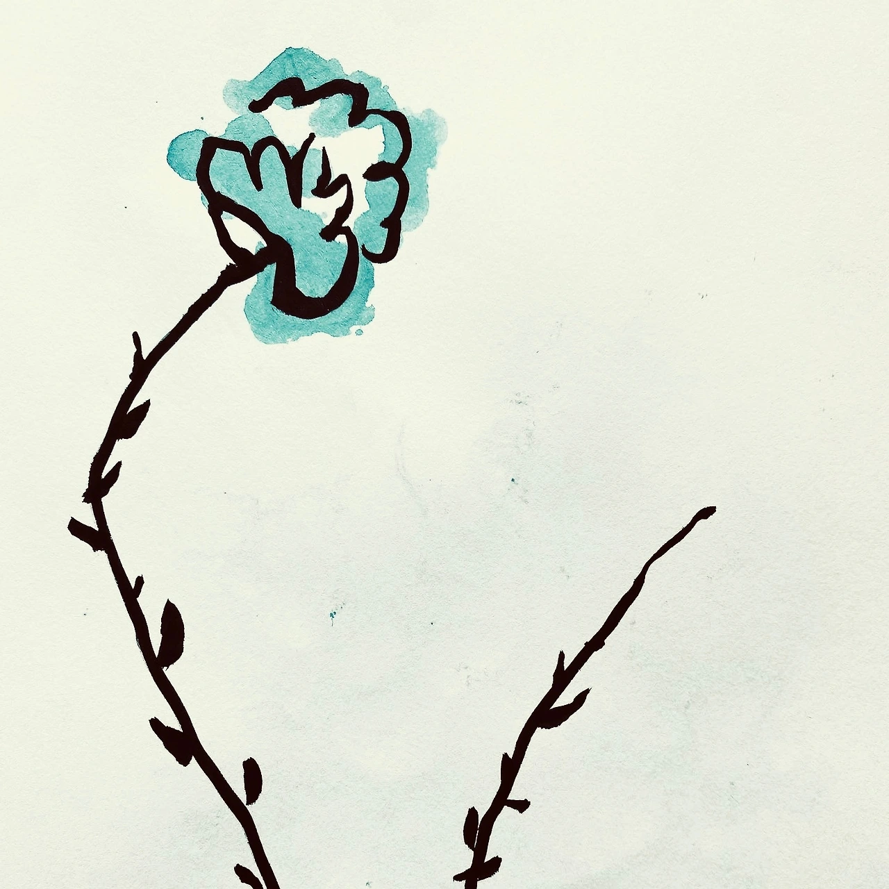 F7B69FBE-D5F5-495B-94CB-642F5BEE8DE0 (1).jpeg