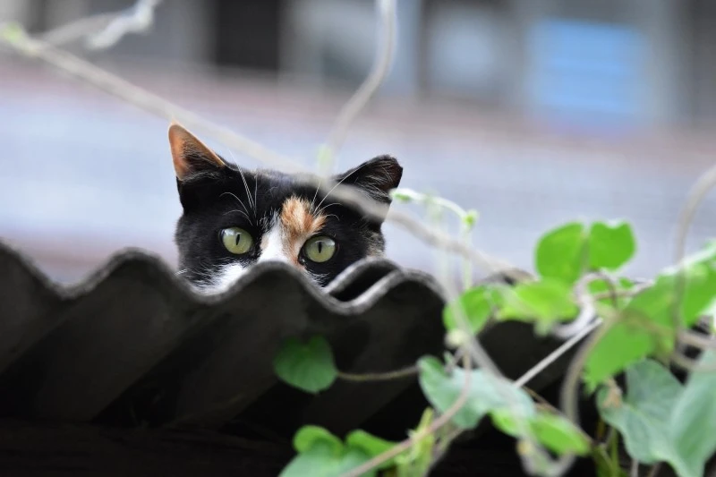 20220709 반여 삼어마을 (299).JPG