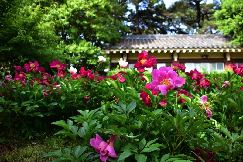 20230511 수영사적공원 (83).JPG