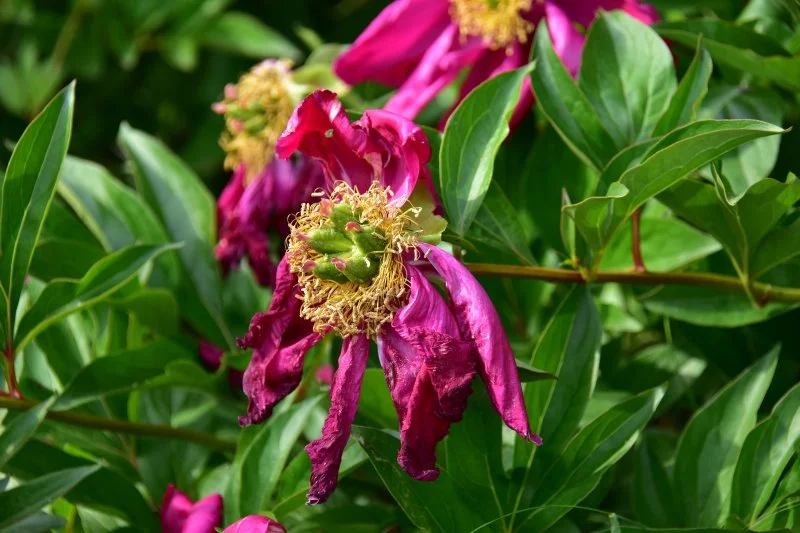 20230511 수영사적공원 (70).JPG