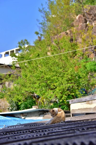 20230406 가야동 (344).JPG