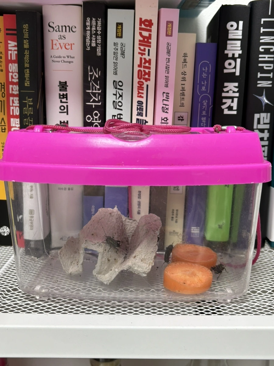 IMG_4224.jpg?type=w1