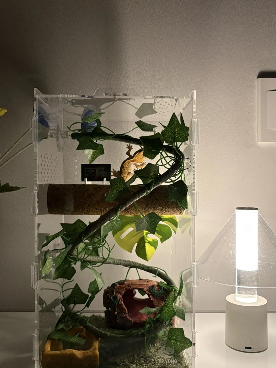 IMG_4186.jpg?type=w1