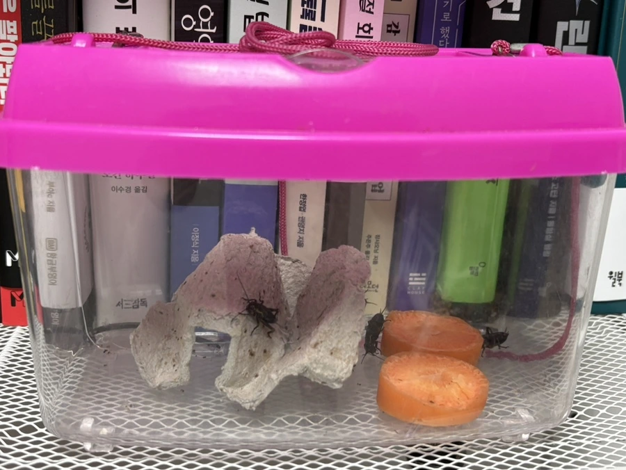 IMG_4225.jpg?type=w1