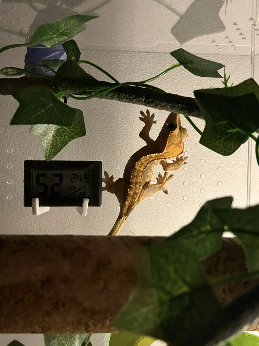 IMG_4187.jpg?type=w1