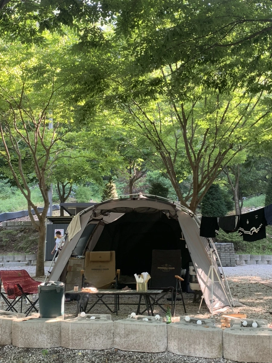 IMG_1033.jpg?type=w1