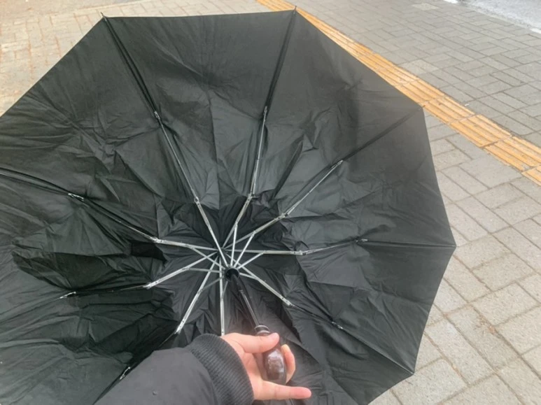 IMG_0962.jpg?type=w773