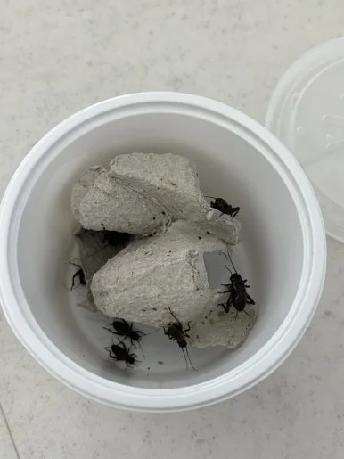 IMG_4200.jpg?type=w386