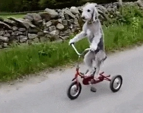 %EB%8B%A4%EC%9A%B4%EB%A1%9C%EB%93%9C_(80).gif?type=w1