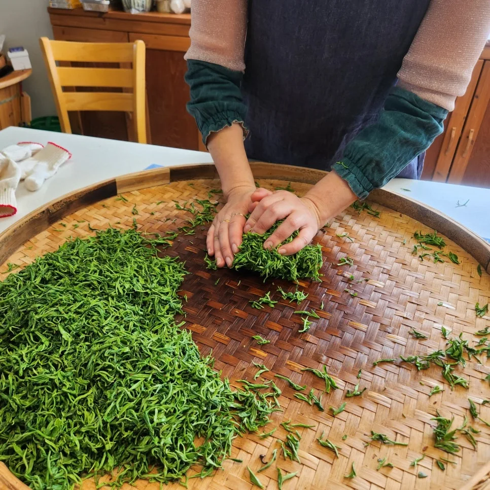 KakaoTalk_20240616_144040927_08.jpg?type=w966