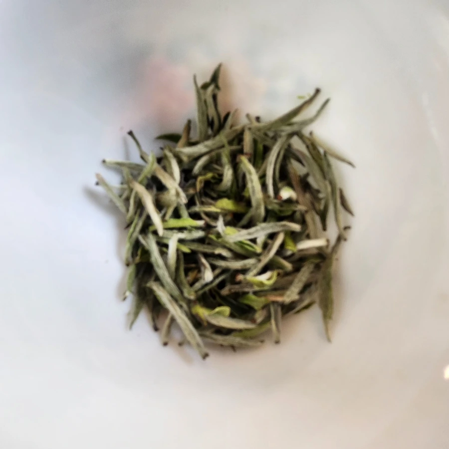 20240607%EF%BC%BF100851.jpg?type=w966