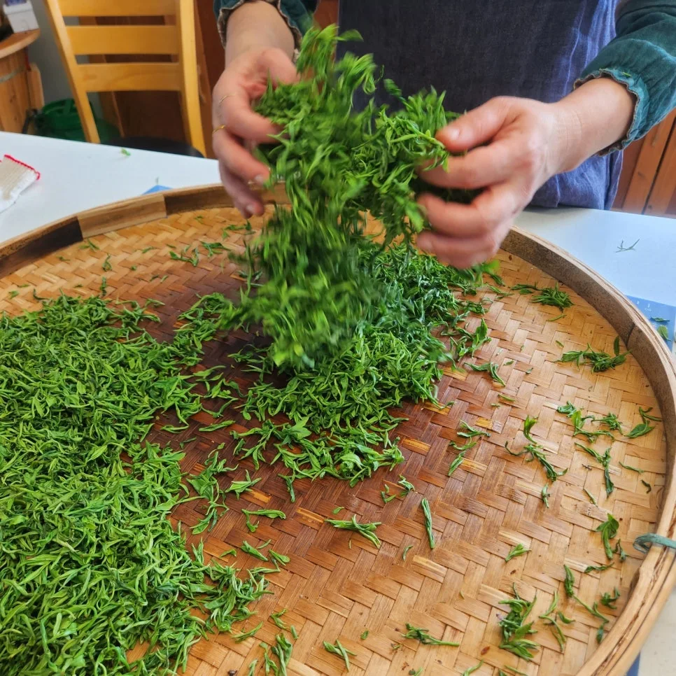 KakaoTalk_20240616_144040927_07.jpg?type=w966