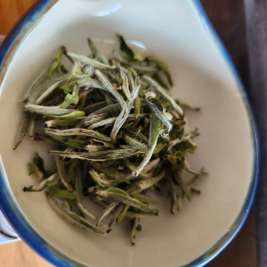 20240607%EF%BC%BF100456.jpg?type=w966