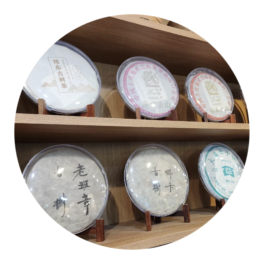 20240714%EF%BC%BF173051.png?type=w966