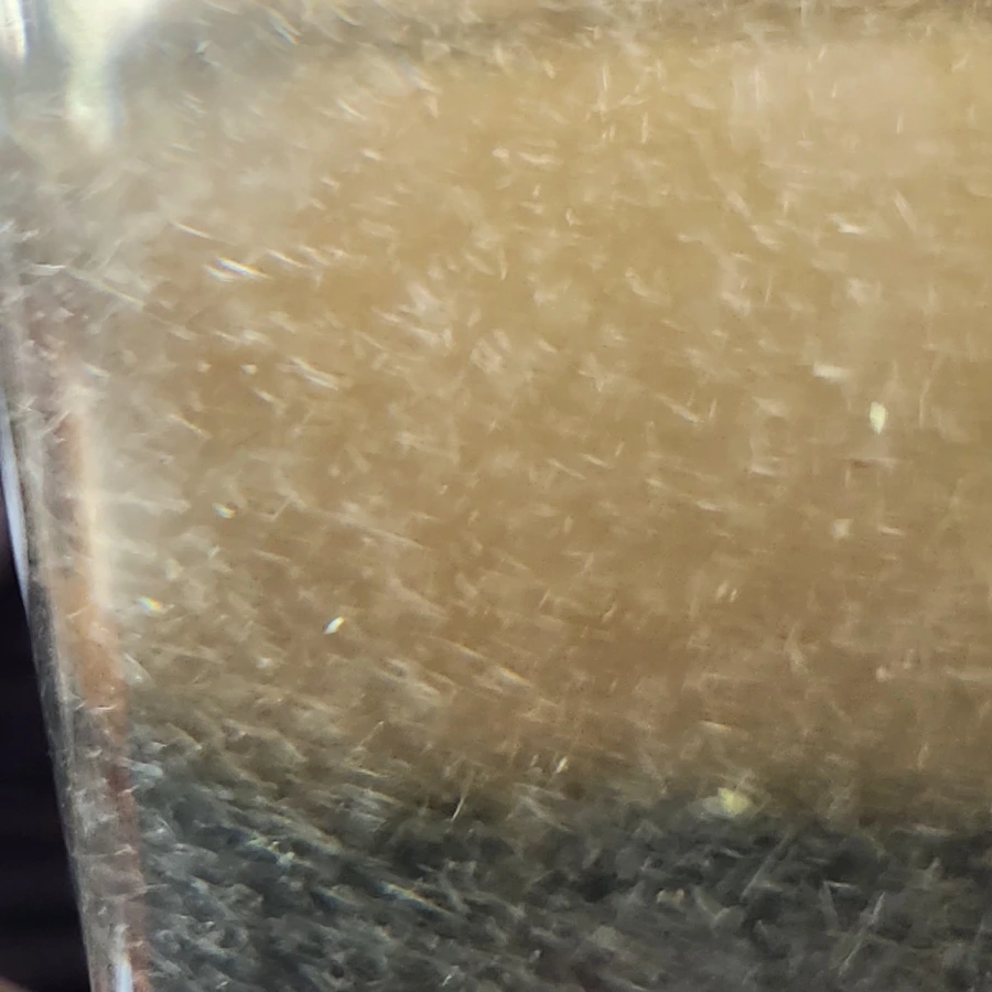 20240607%EF%BC%BF101200.jpg?type=w966