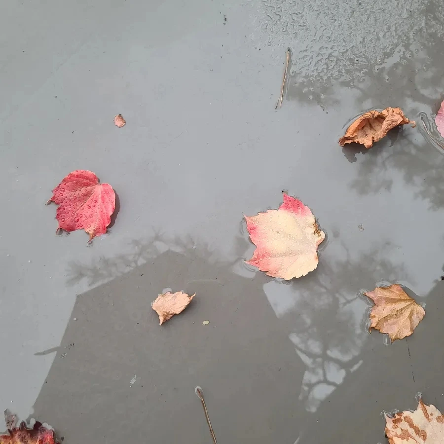 900%EF%BC%BF20251011%EF%BC%BF170814.jpg?type=w3840