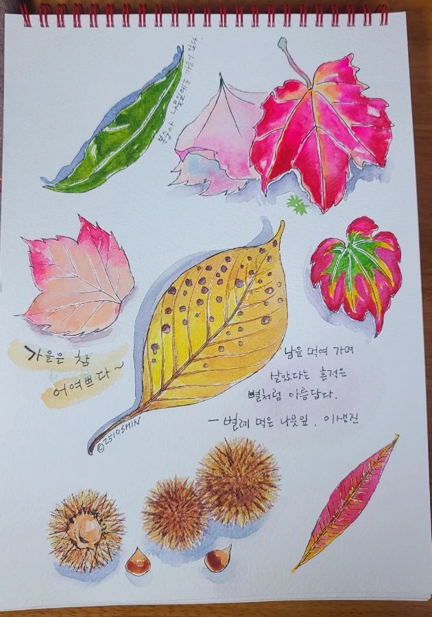 SE-ee20cb1d-ab13-11f0-8084-d30d5cff76d9.jpg?type=w3840