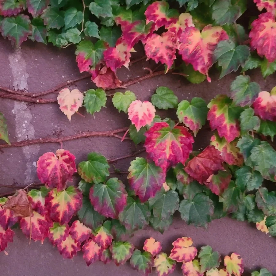 900%EF%BC%BF20251008%EF%BC%BF181948.jpg?type=w3840