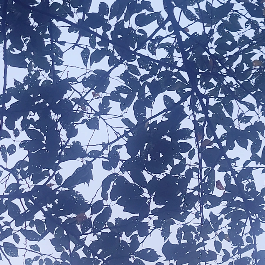 SE-ee519e2b-ab13-11f0-8084-49367fc1a599.jpg?type=w1