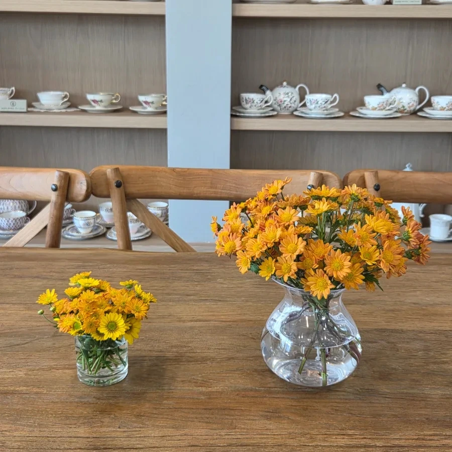 900%EF%BC%BF20251105%EF%BC%BF135849.jpg?type=w3840