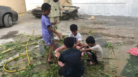 IMG_6804.JPG?type=w466