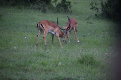 5f0bc71e-b7c4-41f0-8359-118bc89aa917.JPG?type=w386