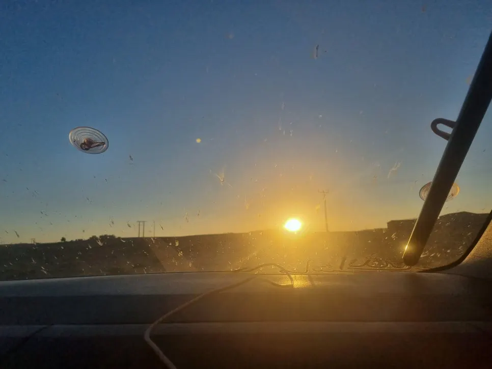 20230711_192410.jpg?type=w966