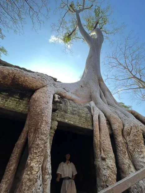 IMG-20230503-WA0039.jpg?type=w466