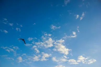 _MG_8560.jpg?type=w386