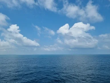 20231218_114110.jpg?type=w386