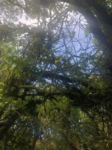 IMG_8364.jpg?type=w386