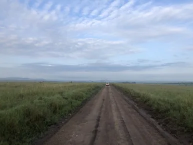 IMG_7434.jpg?type=w386