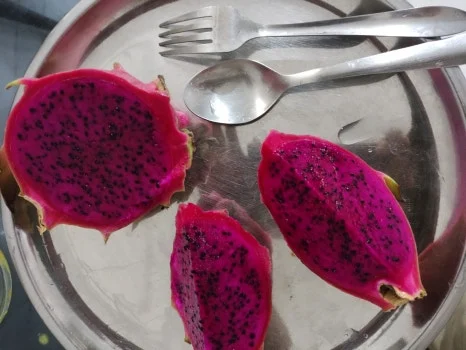 IMG-20230621-WA0042.jpg?type=w466