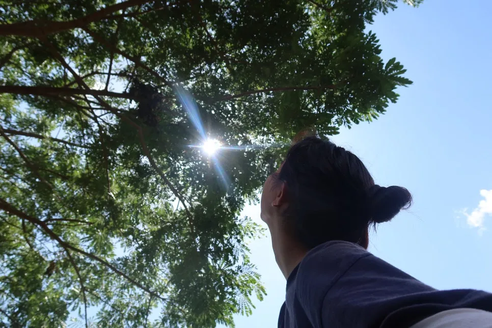 IMG_3729.JPG?type=w966