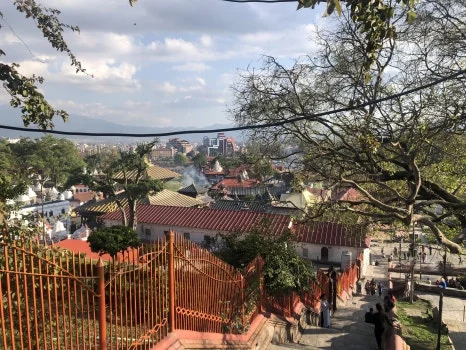 IMG_5476.jpg?type=w466