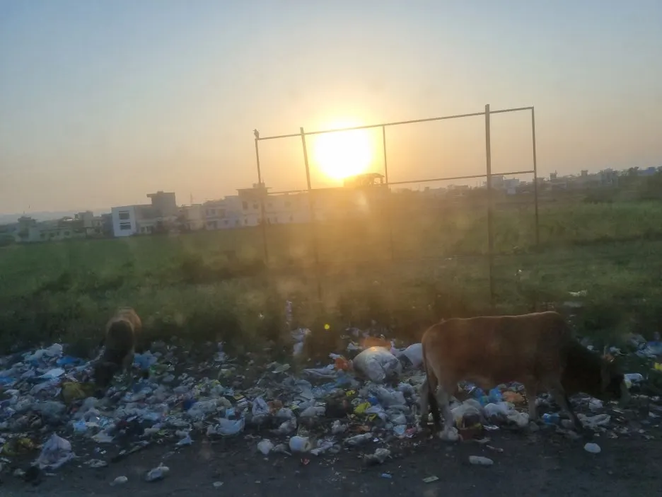 20230526_184438.jpg?type=w1