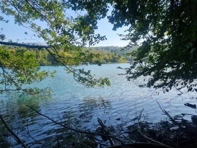 20230907_114927(1).jpg?type=w386