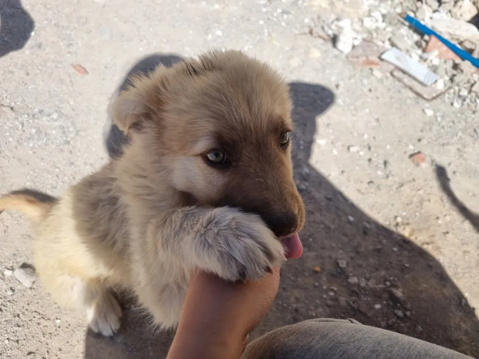 20240208_160253.jpg?type=w1