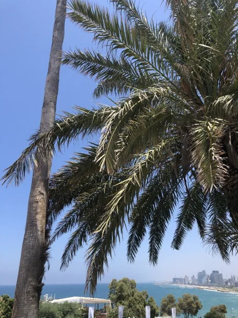 IMG_7099.jpg?type=w466