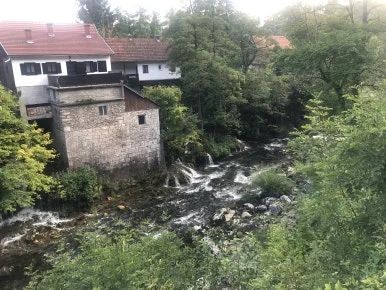 IMG_8959.jpg?type=w386