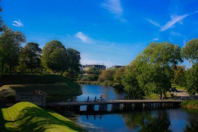 _MG_8396.jpg?type=w386