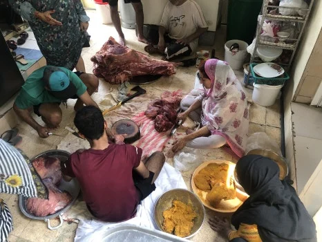 IMG_6733.jpg?type=w466